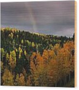 Autumn Rainbow Wood Print