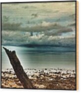 ... Weather In The Coral Sea Today Wood Print