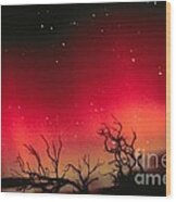 Aurora Australis, Southern Lights #1 Wood Print