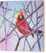 Cardinal On A Branch #1 Wood Print