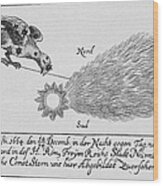 Comet, 1664 #1 Wood Print