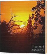 Coucher De Soleil #1 Wood Print