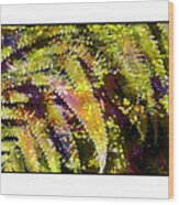 Fern In Dappled Light #1 Wood Print