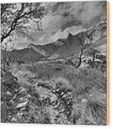 Guadalupe Mountains Morning #1 Wood Print