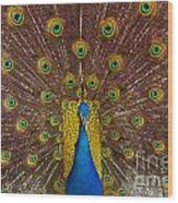 Peacock #1 Wood Print