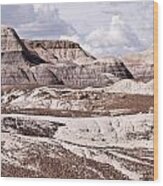 Petrified Forest National Park #2 Wood Print