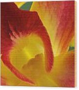 Photograph Of A Hope Orchid Flower #1 Wood Print