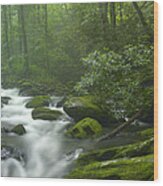 Roaring Fork River Flowing #1 Wood Print