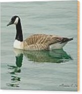 Spring Collection - Goose In Bay Harbor #1 Wood Print