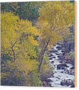 St Vrain Canyon And River Autumn Season Boulder County Colorado Wood Print