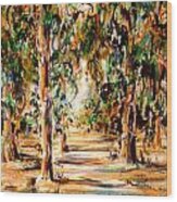 Stanford Eucalyptus Grove #1 Wood Print