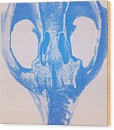 Toxodon, Extinct Mammal #1 Wood Print