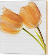 Tulip Flowers #1 Wood Print