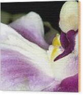 Exotic Orchid Flower #10 Wood Print