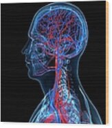 Vascular System, Artwork #11 Wood Print