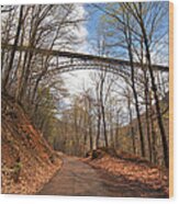 New River Gorge Bridge #12 Wood Print