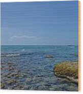 16- Ocean Reef Park Wood Print