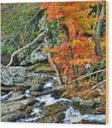 Cunningham Falls #17 Wood Print