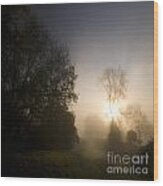 Misty Morning #17 Wood Print