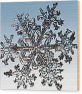 Snowflake #175 Wood Print