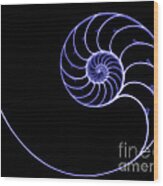 Chambered Nautilus #1 Wood Print