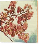 Cherry Blossoms #2 Wood Print