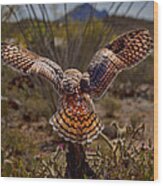Great Horned Owl #2 Wood Print