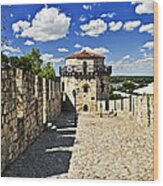 Kalemegdan Fortress In Belgrade 10 Wood Print