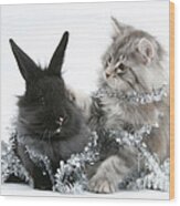 Kitten And Rabbit Getting Into Tinsel #2 Wood Print