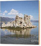 Mono Lake Tufas #2 Wood Print