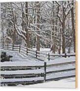 Snow Scene #2 Wood Print