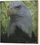 The American Bald Eagle - Lee Dos Santos #2 Wood Print