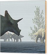 Triceratops Dinosaurs #2 Wood Print