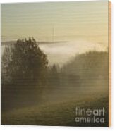 Misty Morning #23 Wood Print