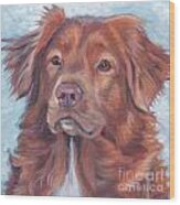 Nova Scotia Duck Tolling Retriever #3 Wood Print