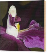 Orchid Flower Bloom #3 Wood Print