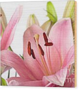 Pink Lilies #4 Wood Print
