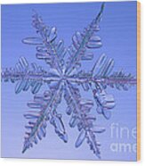 Snowflake #60 Wood Print