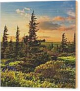 Dolly Sods Wilderness #8 Wood Print