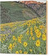 Wasatch Mountains Utah #9 Wood Print