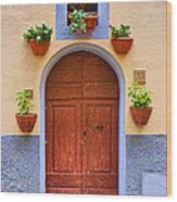 A Door In Monte Carlo Italy Wood Print