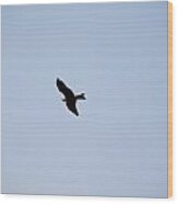 A Kite Flying High In The Sky Wood Print