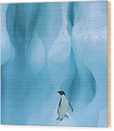 Adelie Penguin On Iceberg Wood Print