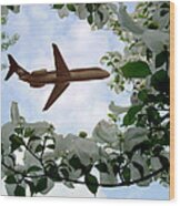 Airplane In The Dogwoods Wood Print