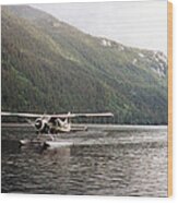 Airplane On Lake Wood Print