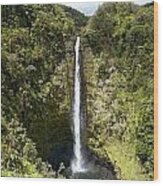 Akaka Falls Iii Wood Print