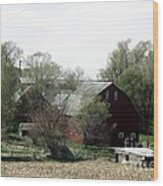 An Old Barn With Surrounding  Spring Green. Wood Print