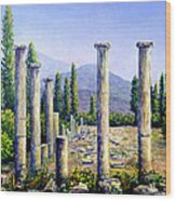 Aphrodesias Ruins Wood Print