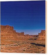 Arches National Park Wood Print
