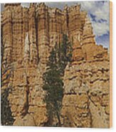 Around The Bend At Bryce Canyon Wood Print